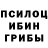 Галлюциногенные грибы ЛСД pusteron kalash