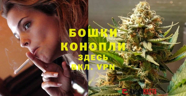 apvp Гусев
