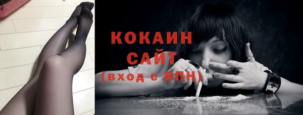 прущие грибы Горно-Алтайск