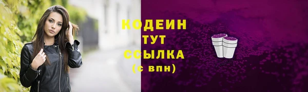 прущие грибы Горно-Алтайск