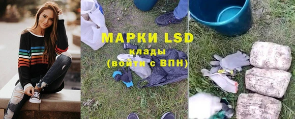 ПСИЛОЦИБИНОВЫЕ ГРИБЫ Горнозаводск