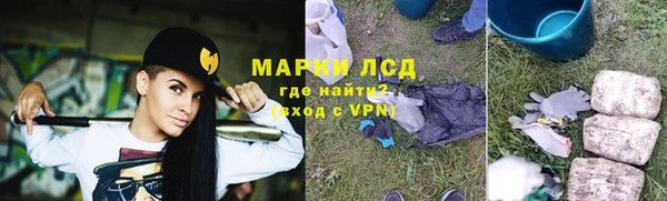 прущие грибы Горно-Алтайск
