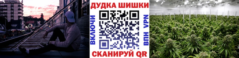 Бошки Шишки семена наркошоп Энгельс
